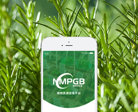 藥植所-植物資源信息平臺(tái)APP|一網(wǎng)天行-網(wǎng)站建設(shè)小程序APP系統(tǒng)軟件開(kāi)發(fā)公司 藥植所-植物資源信息平臺(tái)APP|一網(wǎng)天行-網(wǎng)站建設(shè)小程序APP系統(tǒng)軟件開(kāi)發(fā)公司